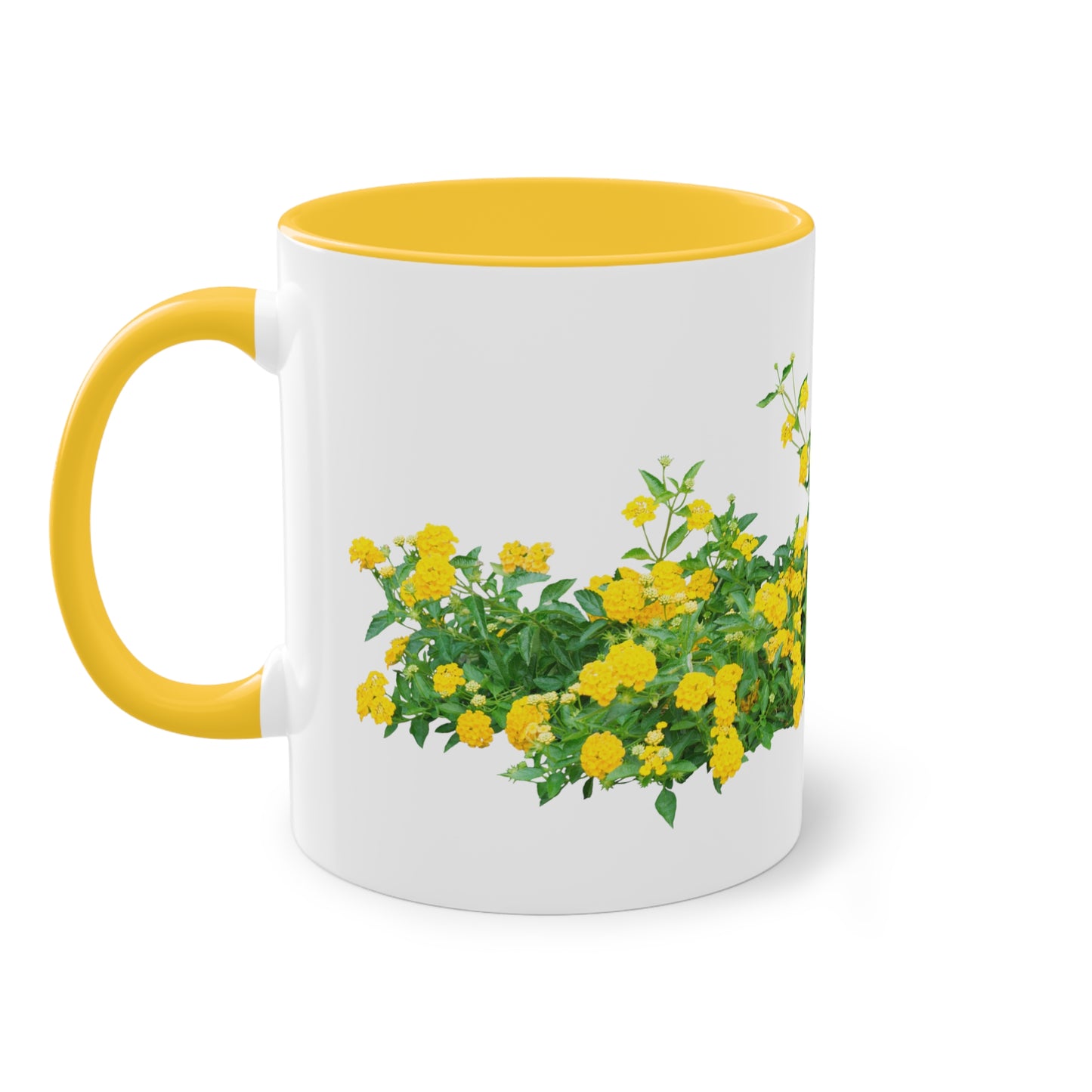 Two-Tone Coffee Mug, 11oz