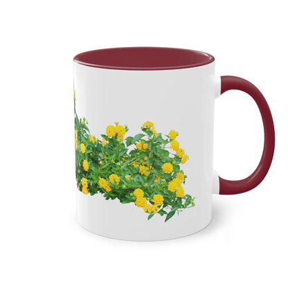 Two-Tone Coffee Mug, 11oz