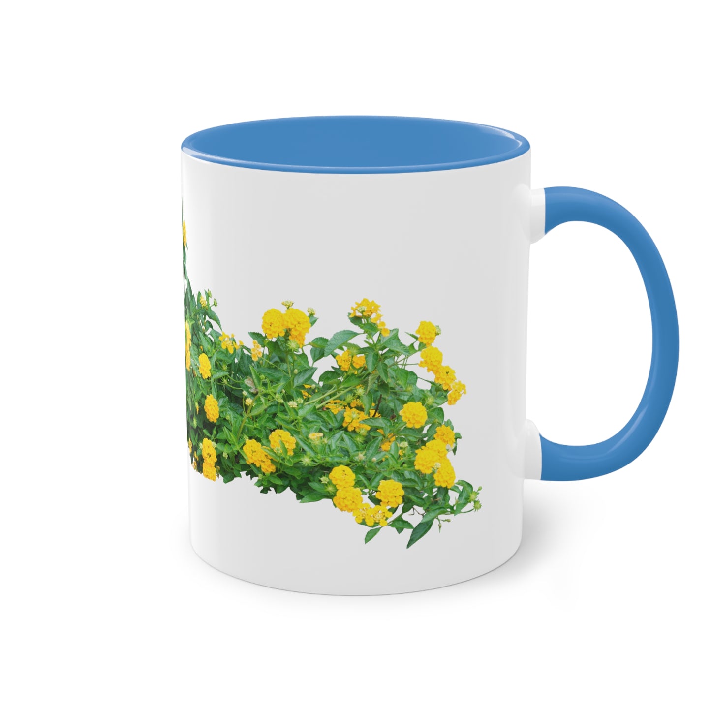 Two-Tone Coffee Mug, 11oz